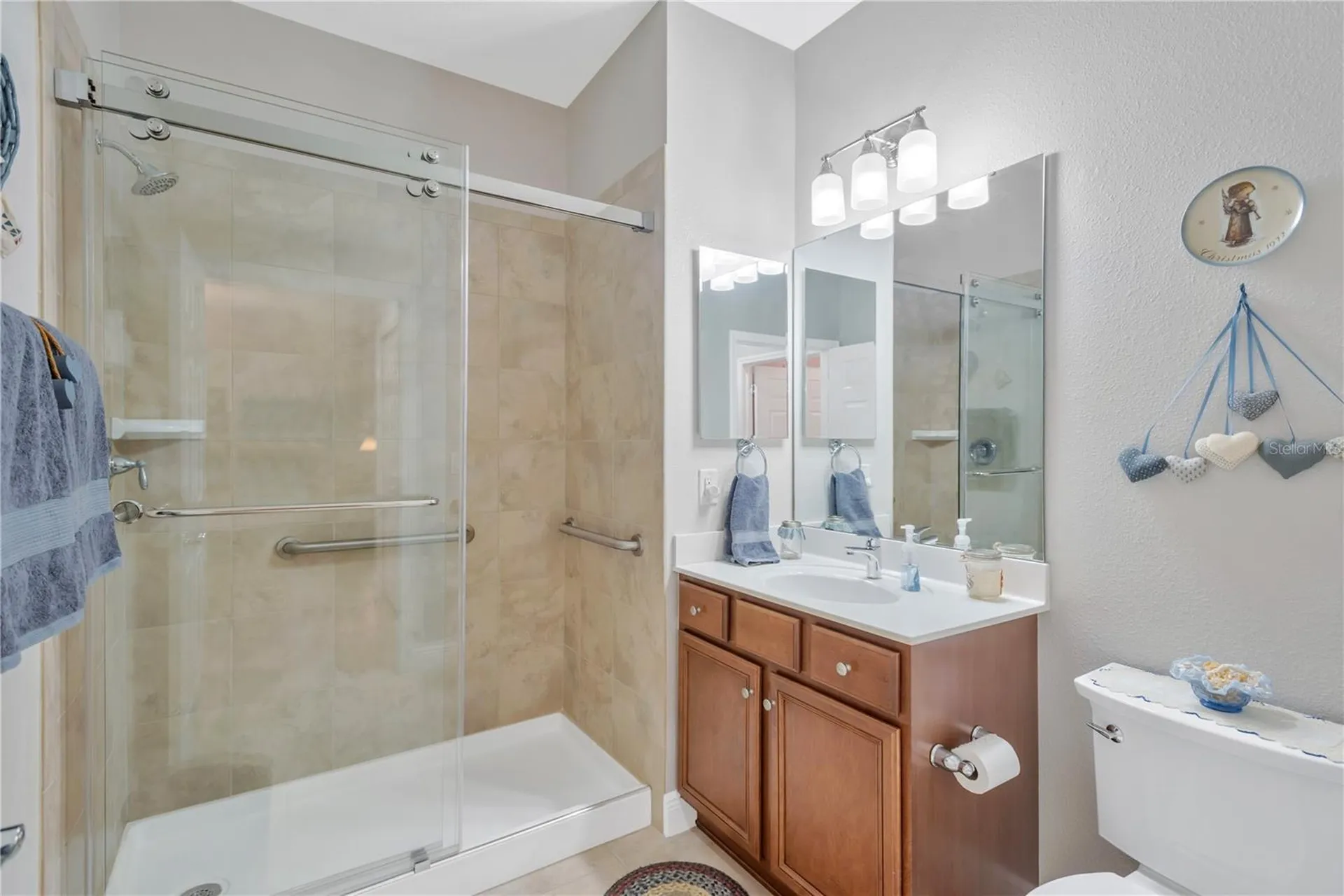320 Bluewater Falls Court Apollo Beach FL 33572