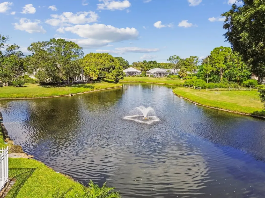 3582 Indigo Pond Drive Palm Harbor FL 34685