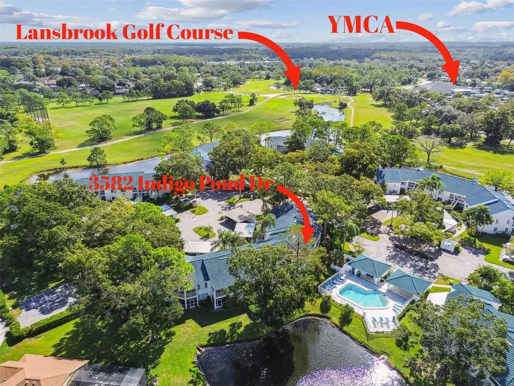 3582 Indigo Pond Drive Palm Harbor FL 34685