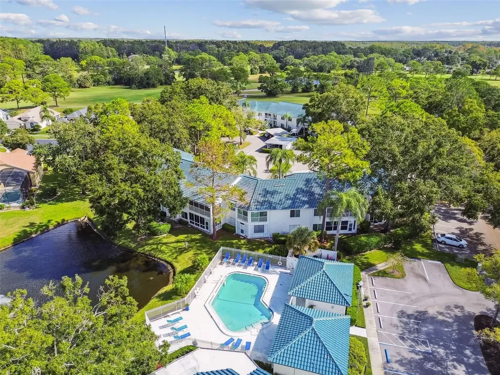 3582 Indigo Pond Drive Palm Harbor FL 34685