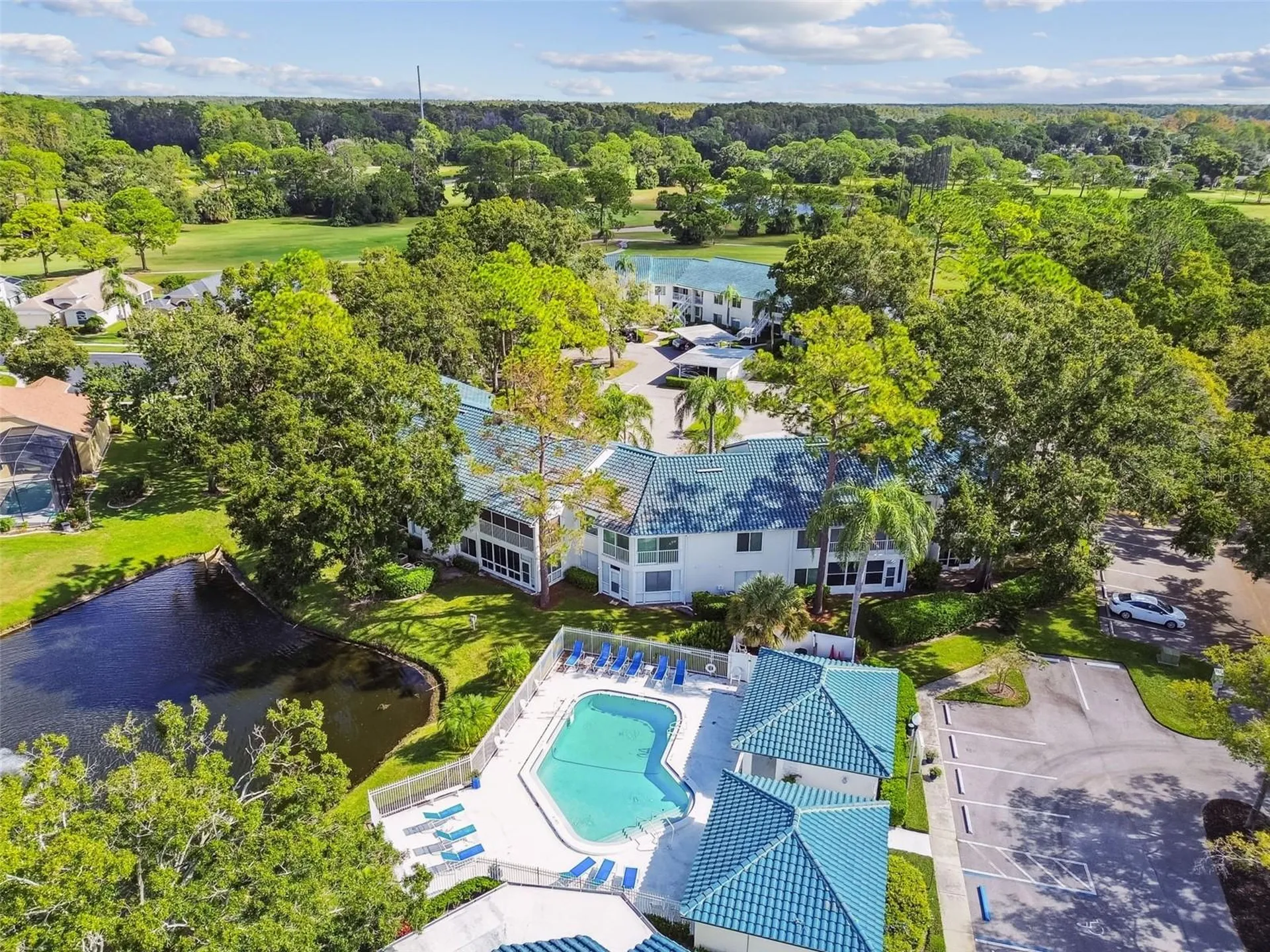3582 Indigo Pond Drive Palm Harbor FL 34685