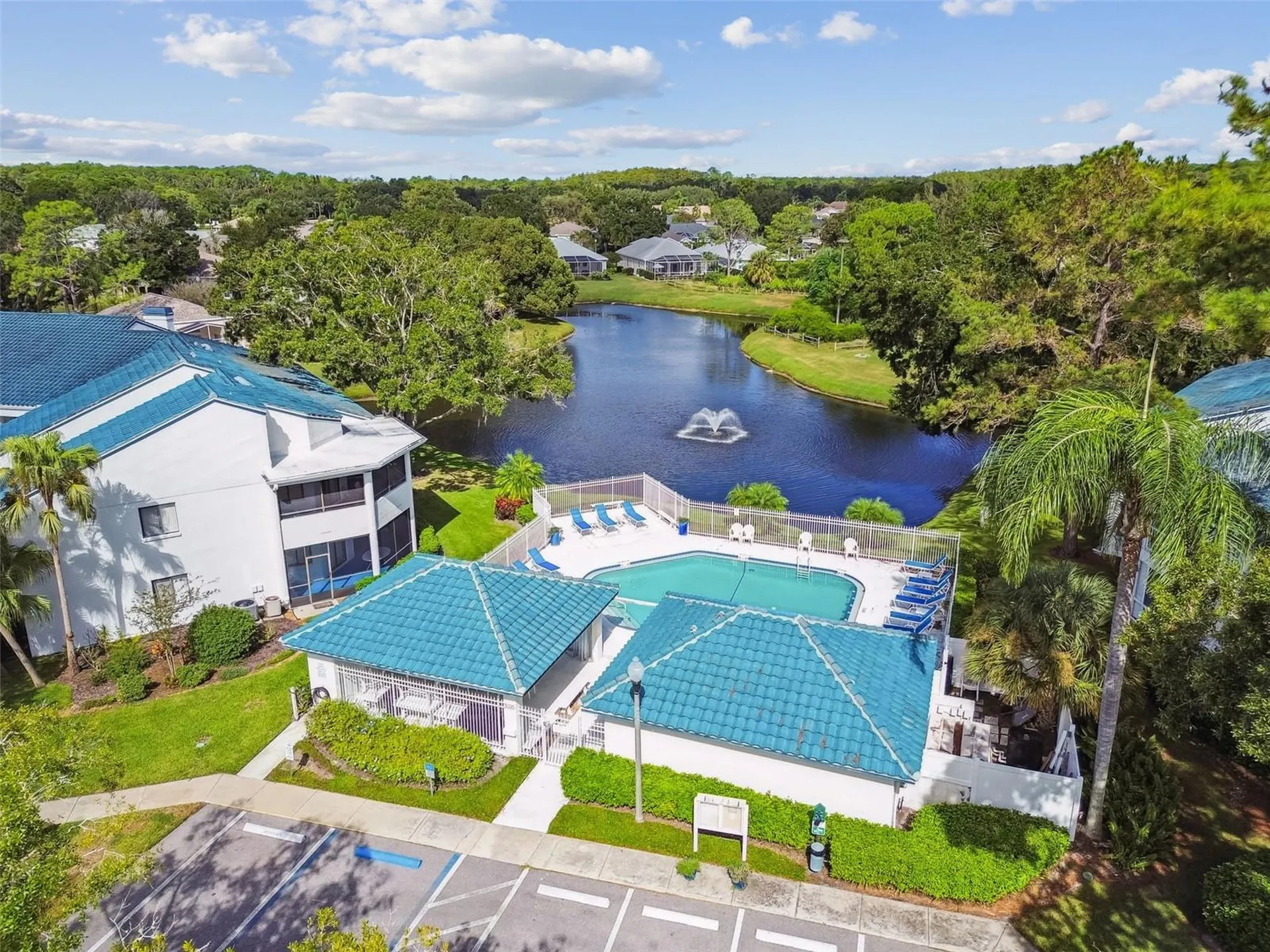 3582 Indigo Pond Drive Palm Harbor FL 34685
