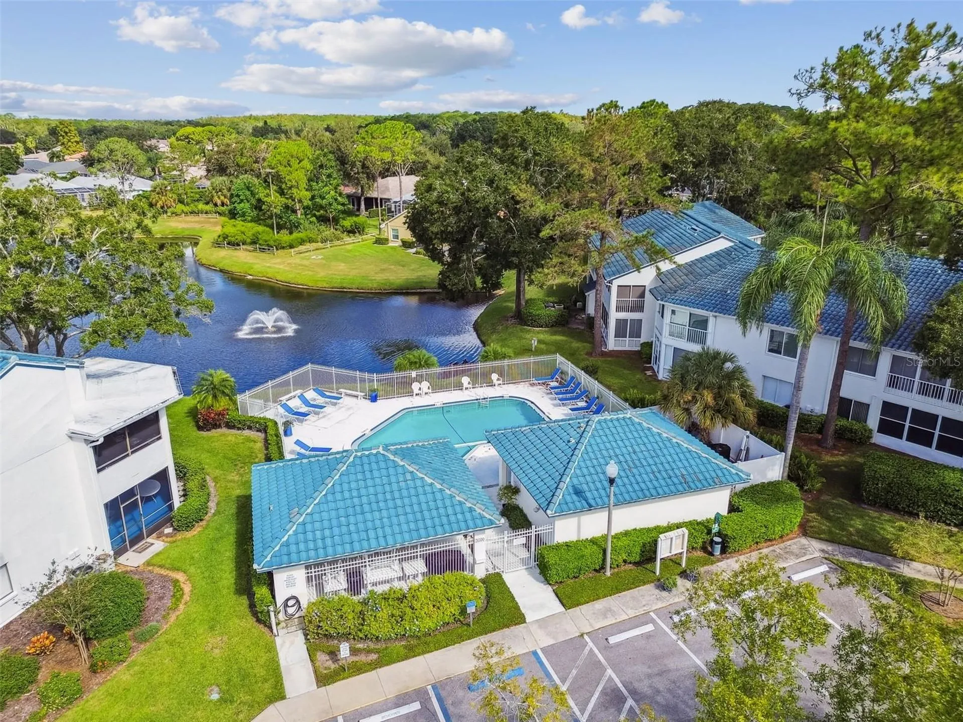 3582 Indigo Pond Drive Palm Harbor FL 34685