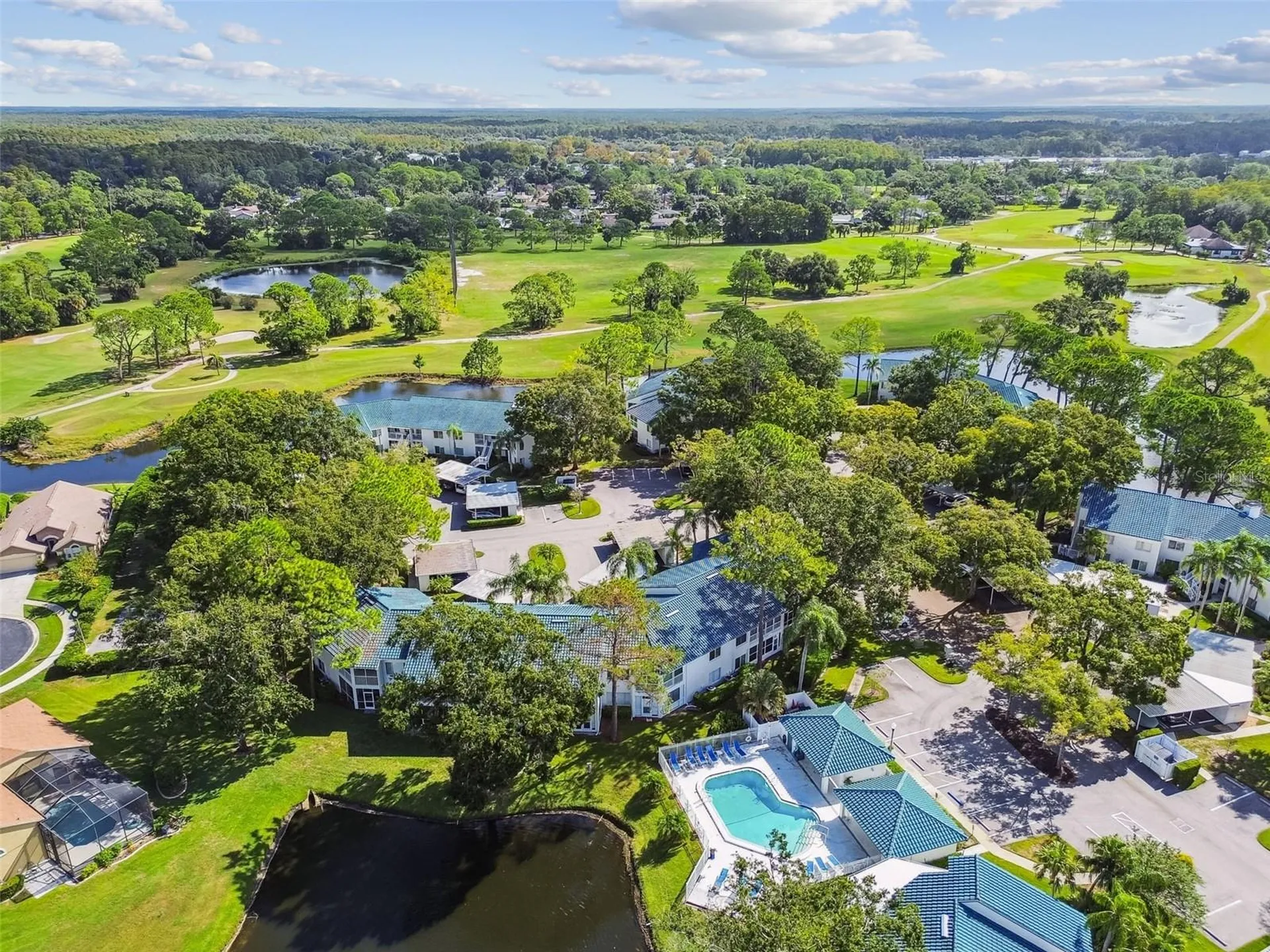 3582 Indigo Pond Drive Palm Harbor FL 34685