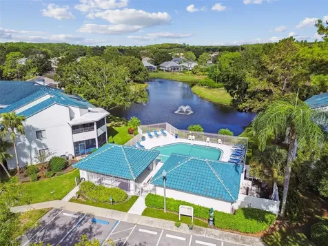 3582 Indigo Pond Drive Palm Harbor FL 34685