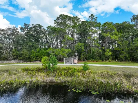 3117 Dark Sky Drive St Cloud FL 34773