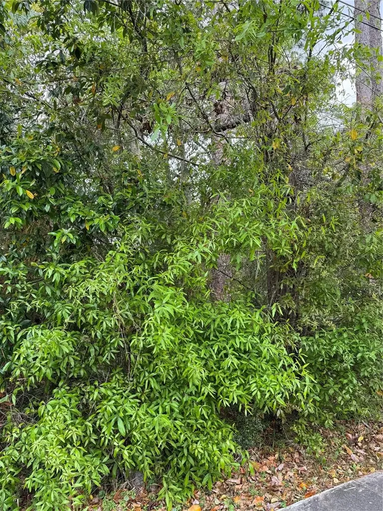 253 E Highbanks Road Debary FL 32713