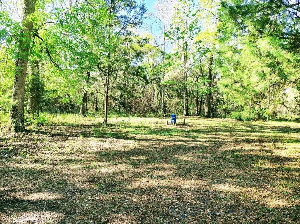 3440 Cr 656 Webster FL 33597