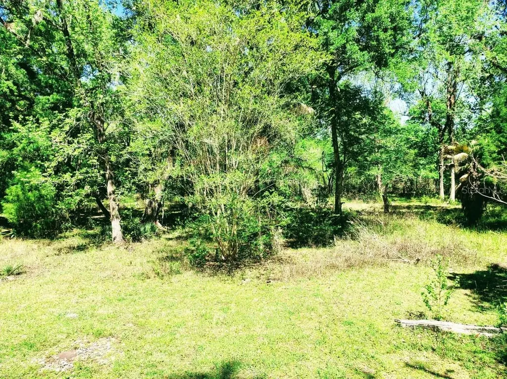 3440 Cr 656 Webster FL 33597