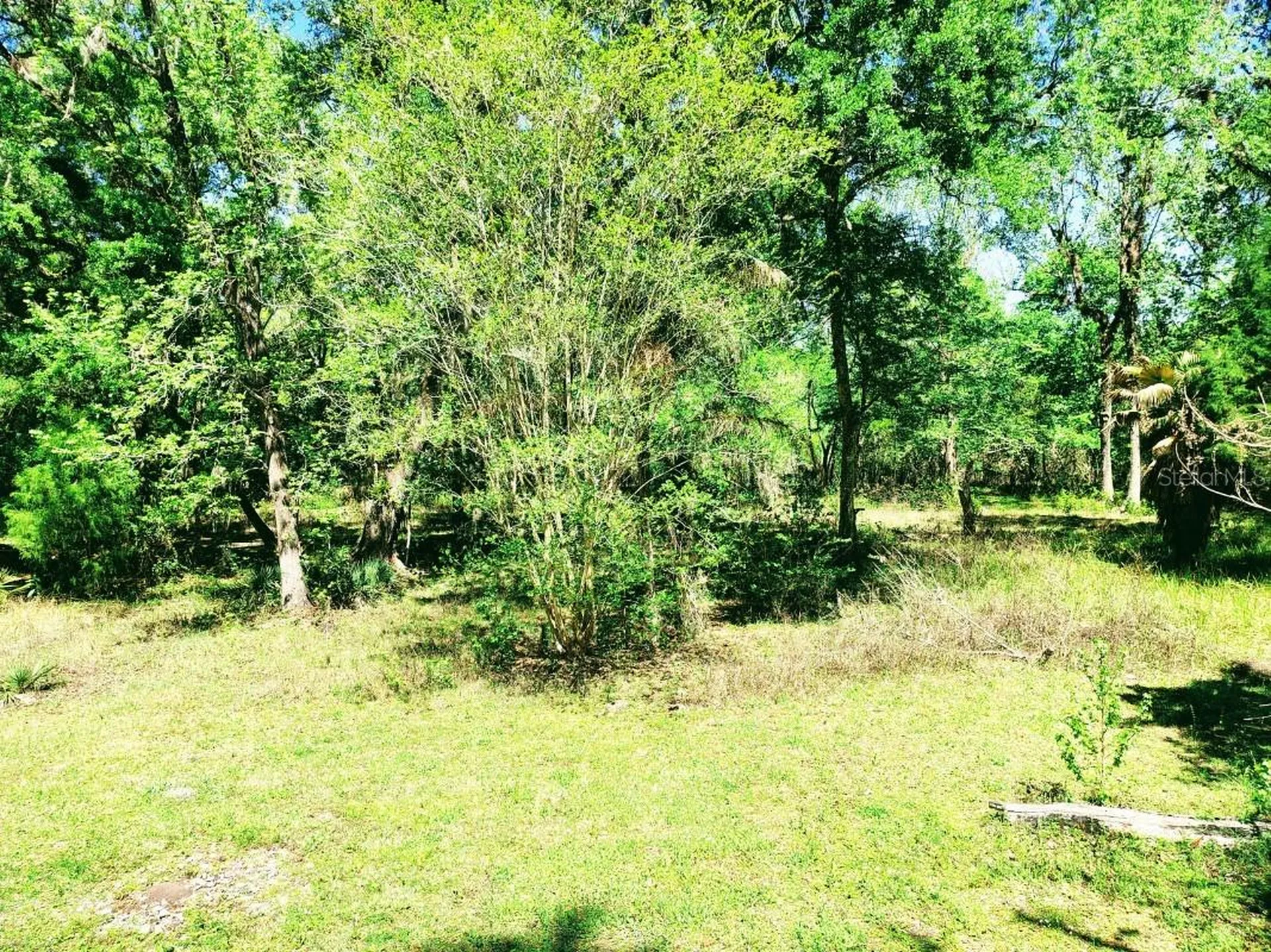 3440 Cr 656 Webster FL 33597