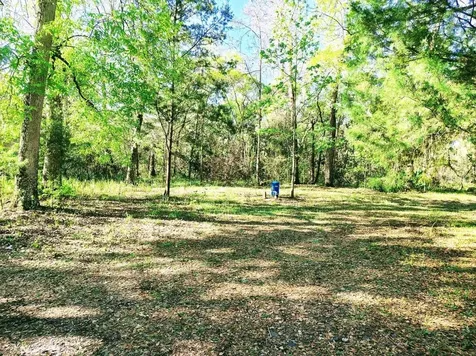 3440 Cr 656 Webster FL 33597