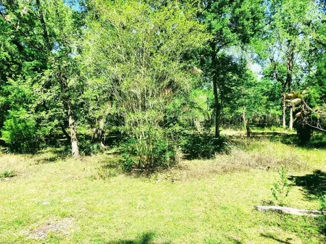 3440 Cr 656 Webster FL 33597