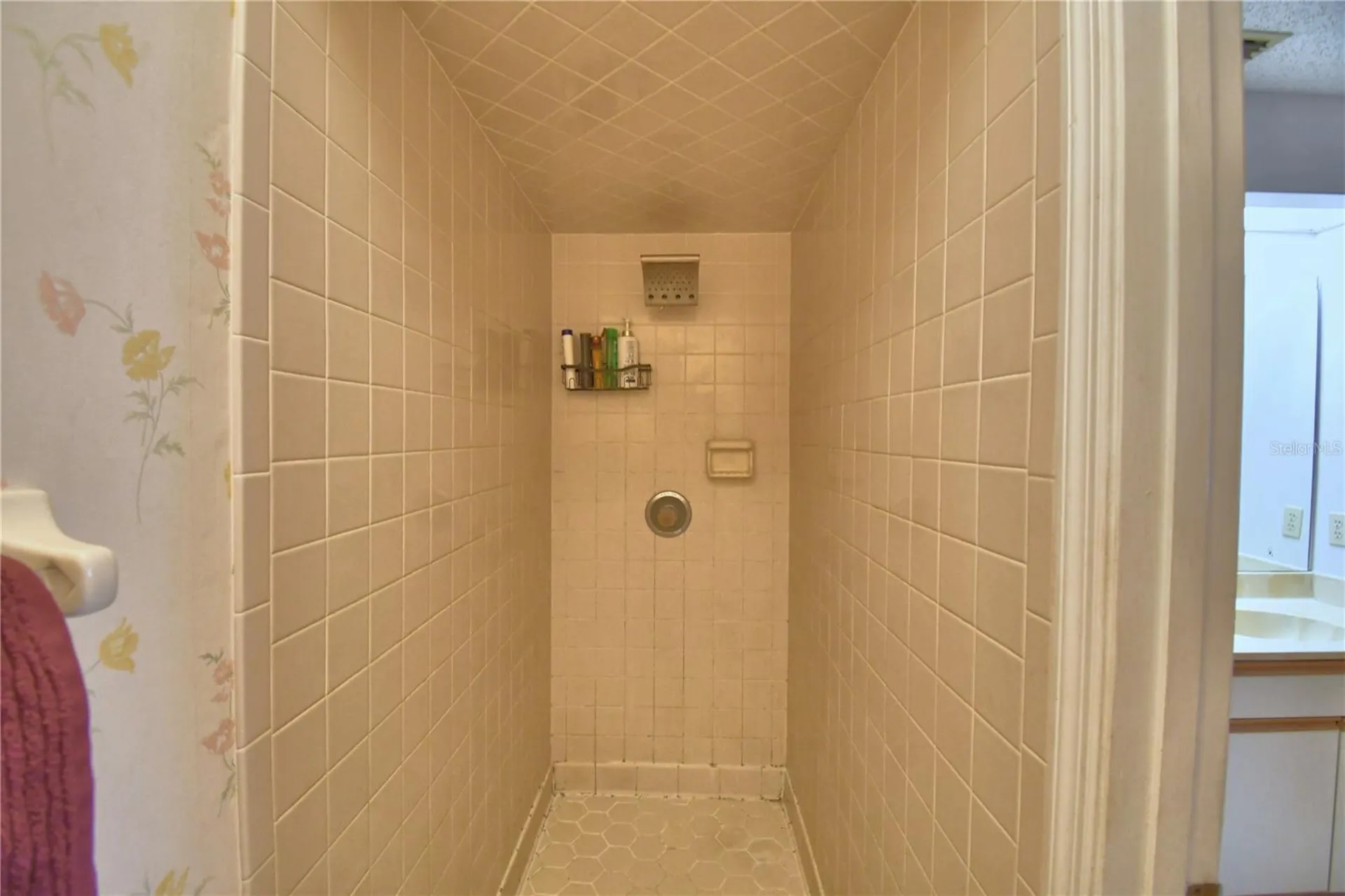 3654 Opal Drive Mulberry FL 33860