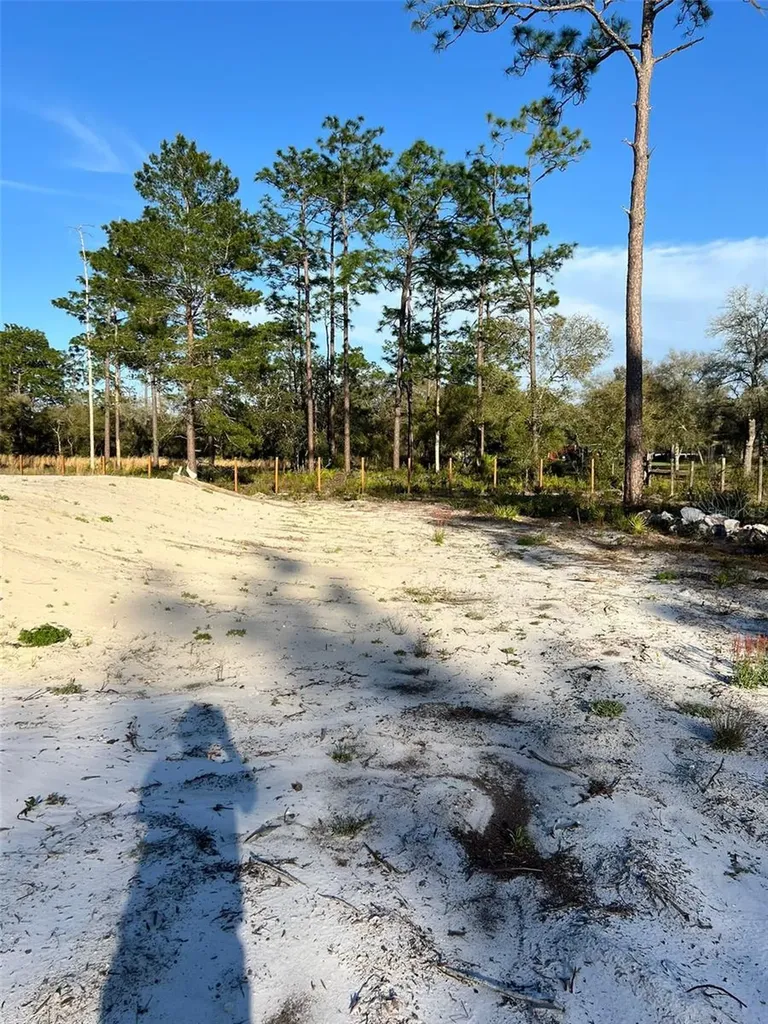 8342 SW 152nd Place Dunnellon FL 34432
