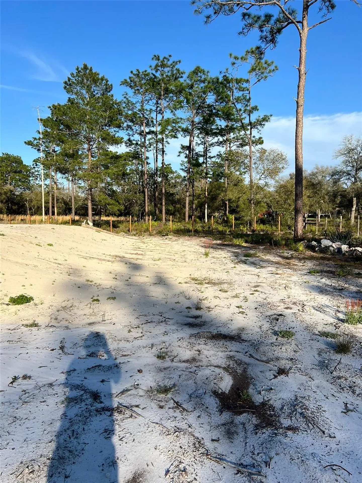 8342 SW 152nd Place Dunnellon FL 34432