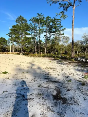 8342 SW 152nd Place Dunnellon FL 34432