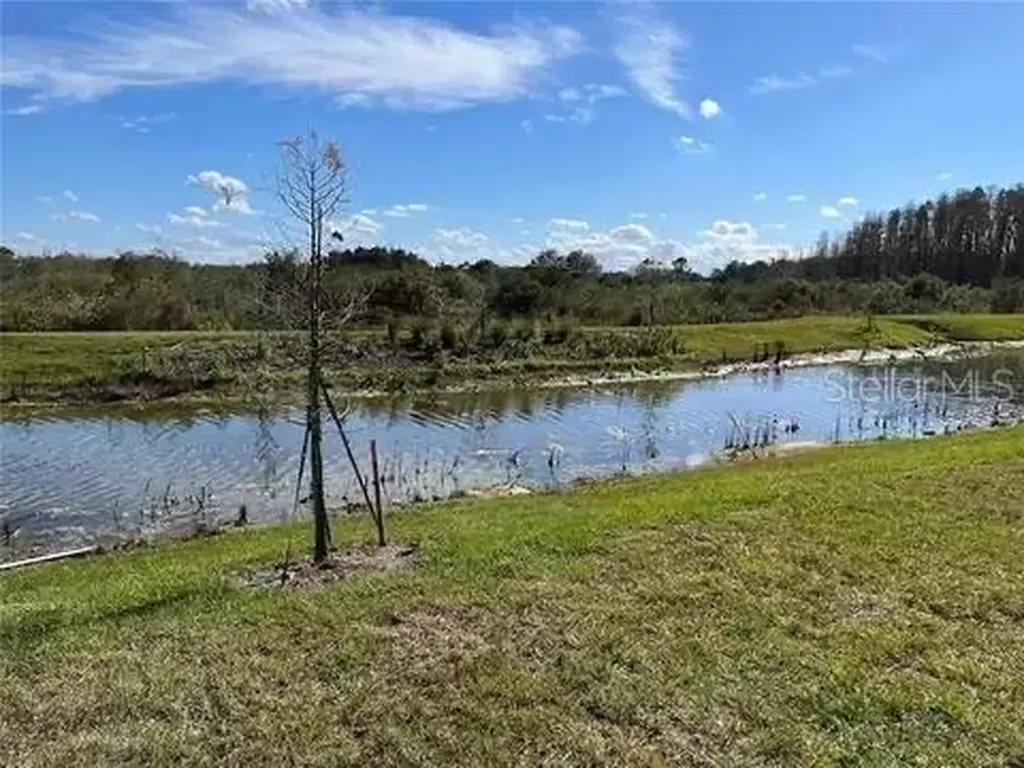 3612 Bellmeade Court Wesley Chapel FL 33543