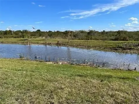 3612 Bellmeade Court Wesley Chapel FL 33543