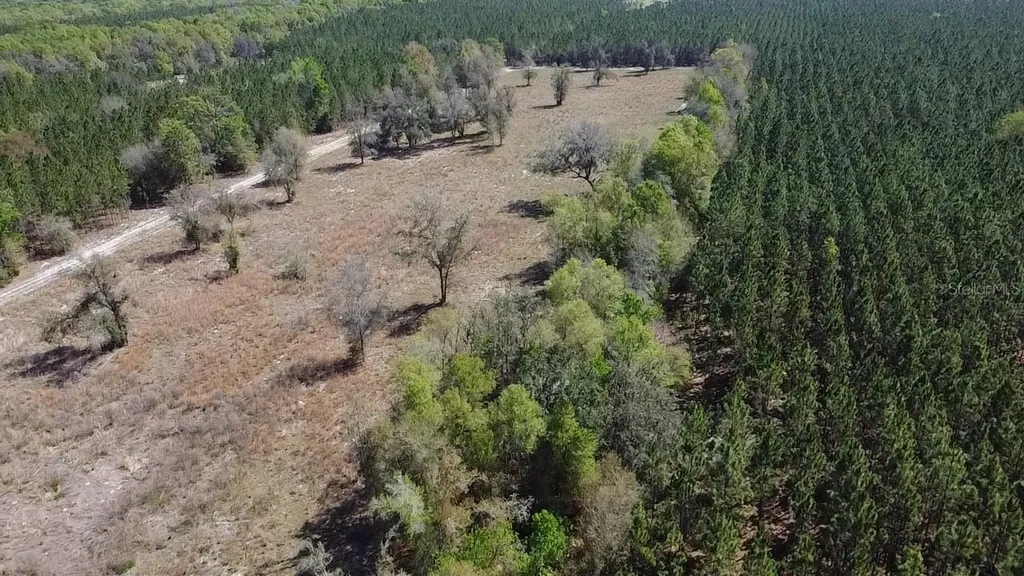 000 SW Langelier Fort White FL 32038