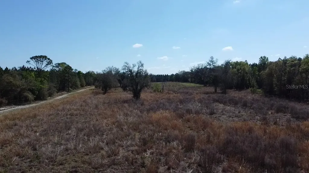 000 SW Langelier Fort White FL 32038