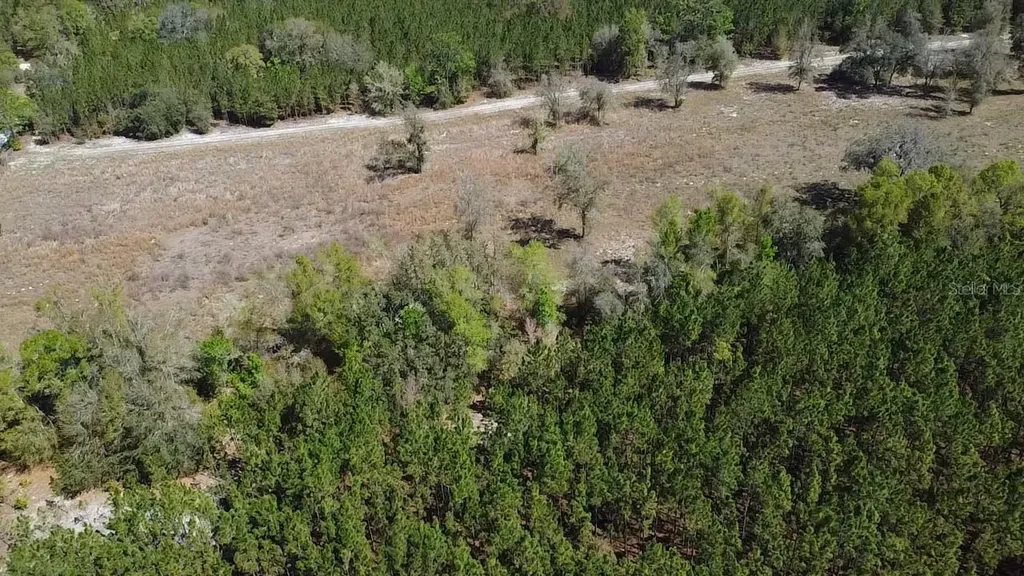 000 SW Langelier Fort White FL 32038
