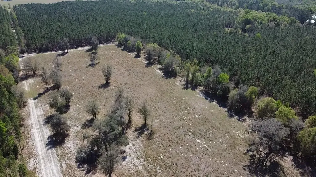 000 SW Langelier Fort White FL 32038