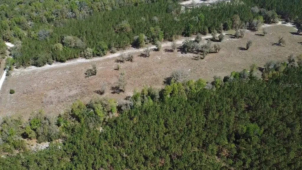 000 SW Langelier Fort White FL 32038