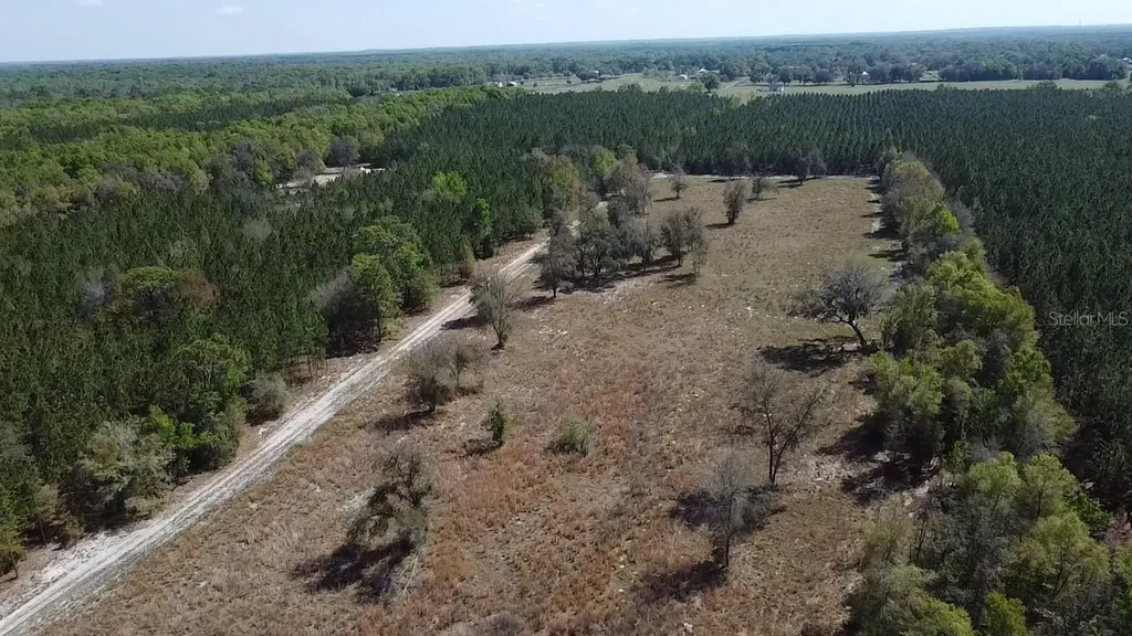 000 SW Langelier Fort White FL 32038