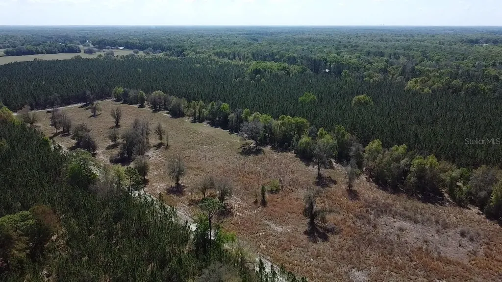 000 SW Langelier Fort White FL 32038