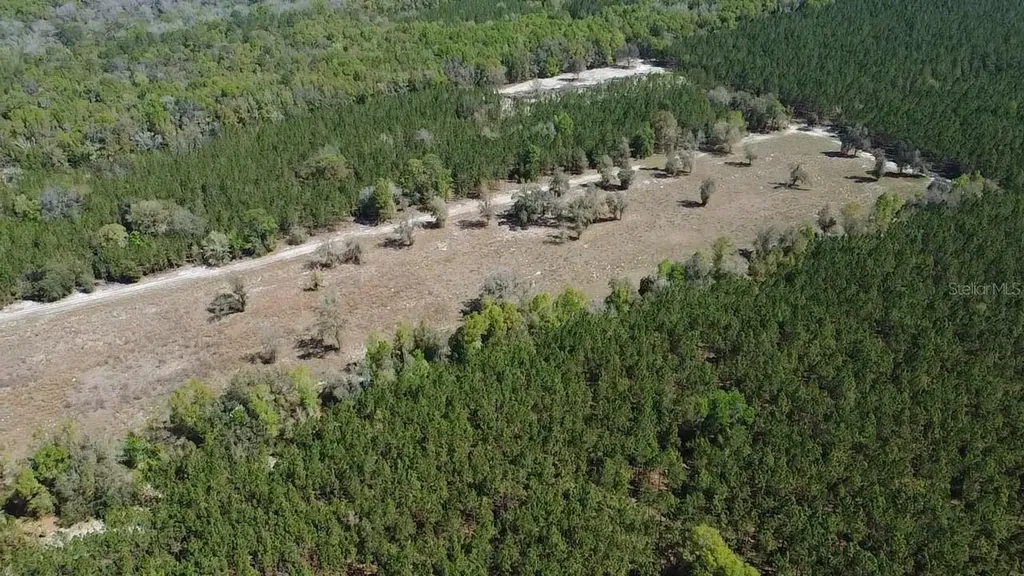 000 SW Langelier Fort White FL 32038