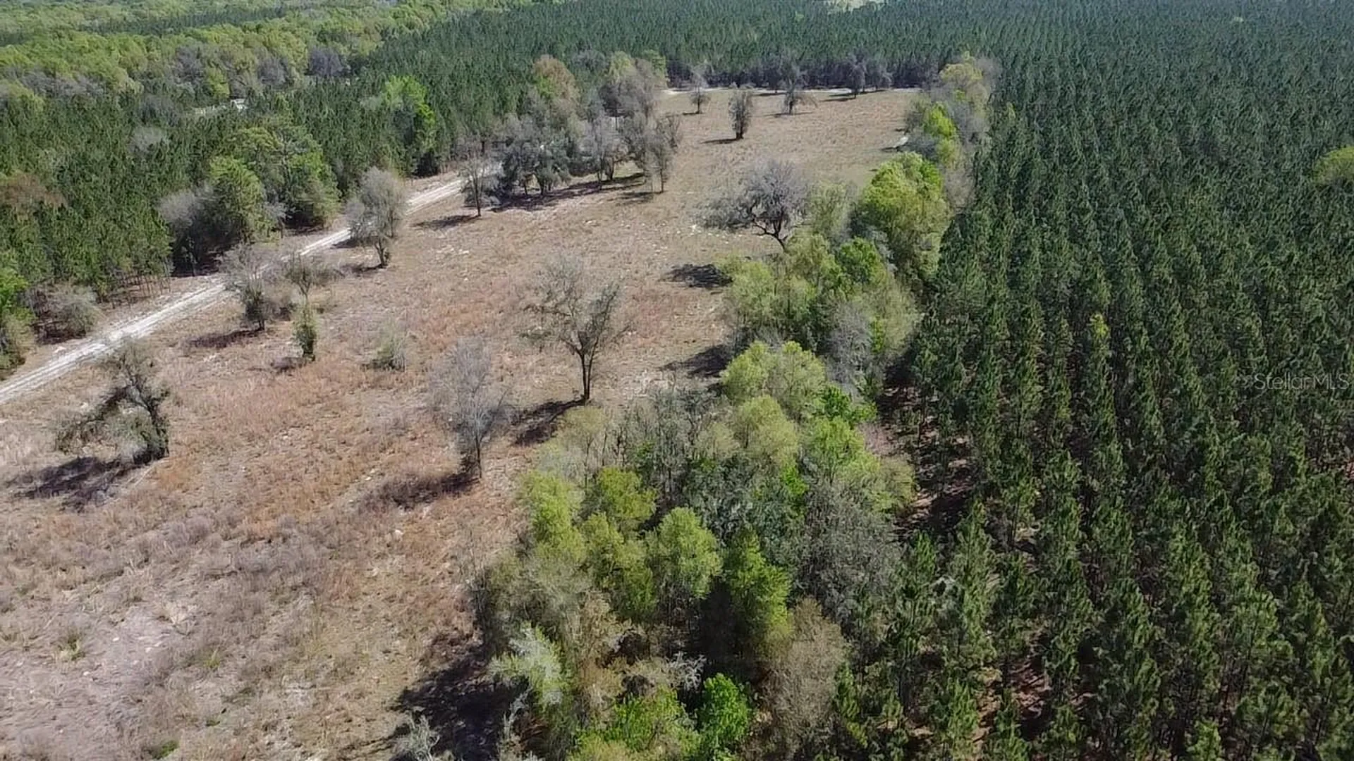 000 SW Langelier Fort White FL 32038