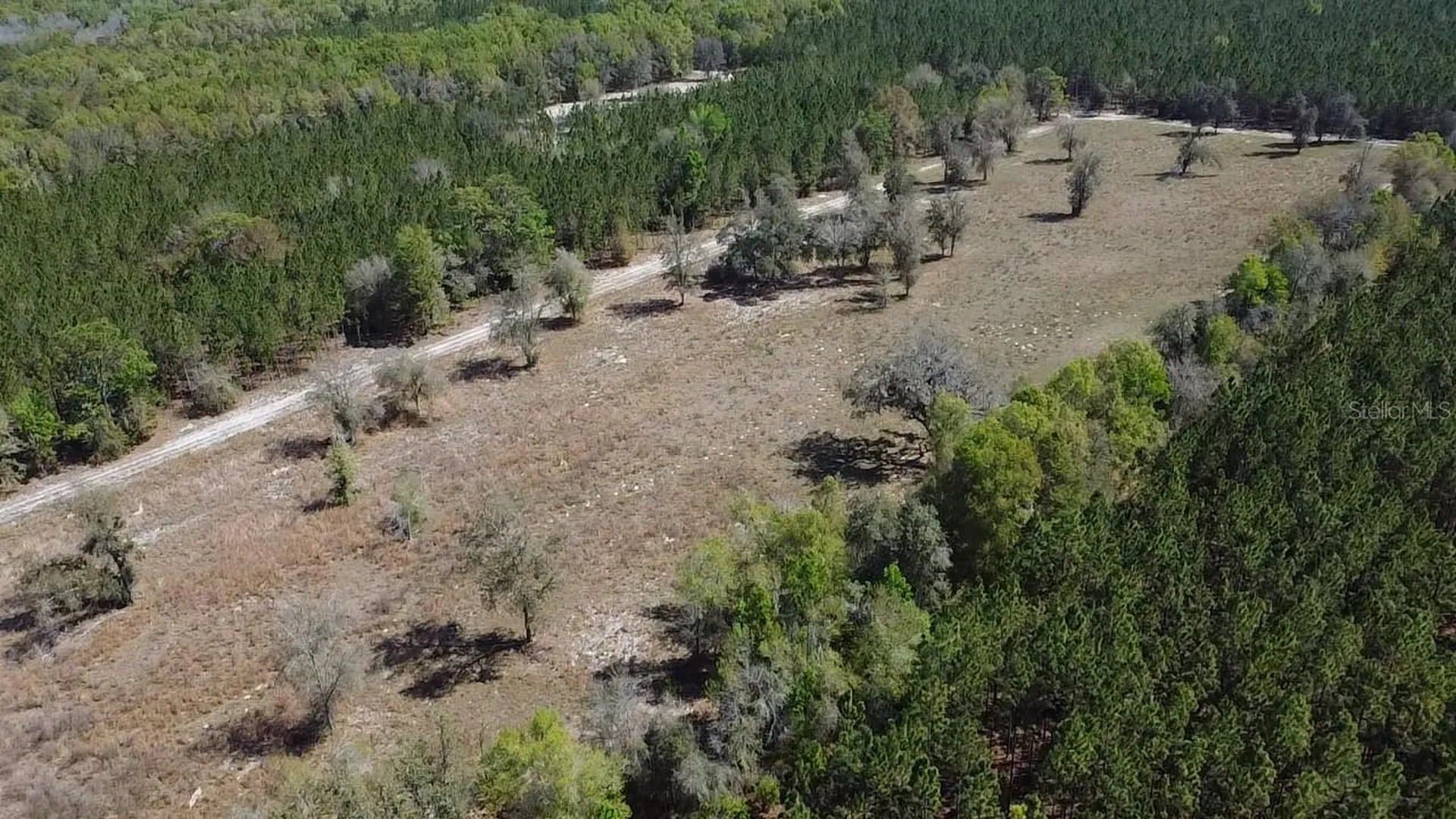 000 SW Langelier Fort White FL 32038