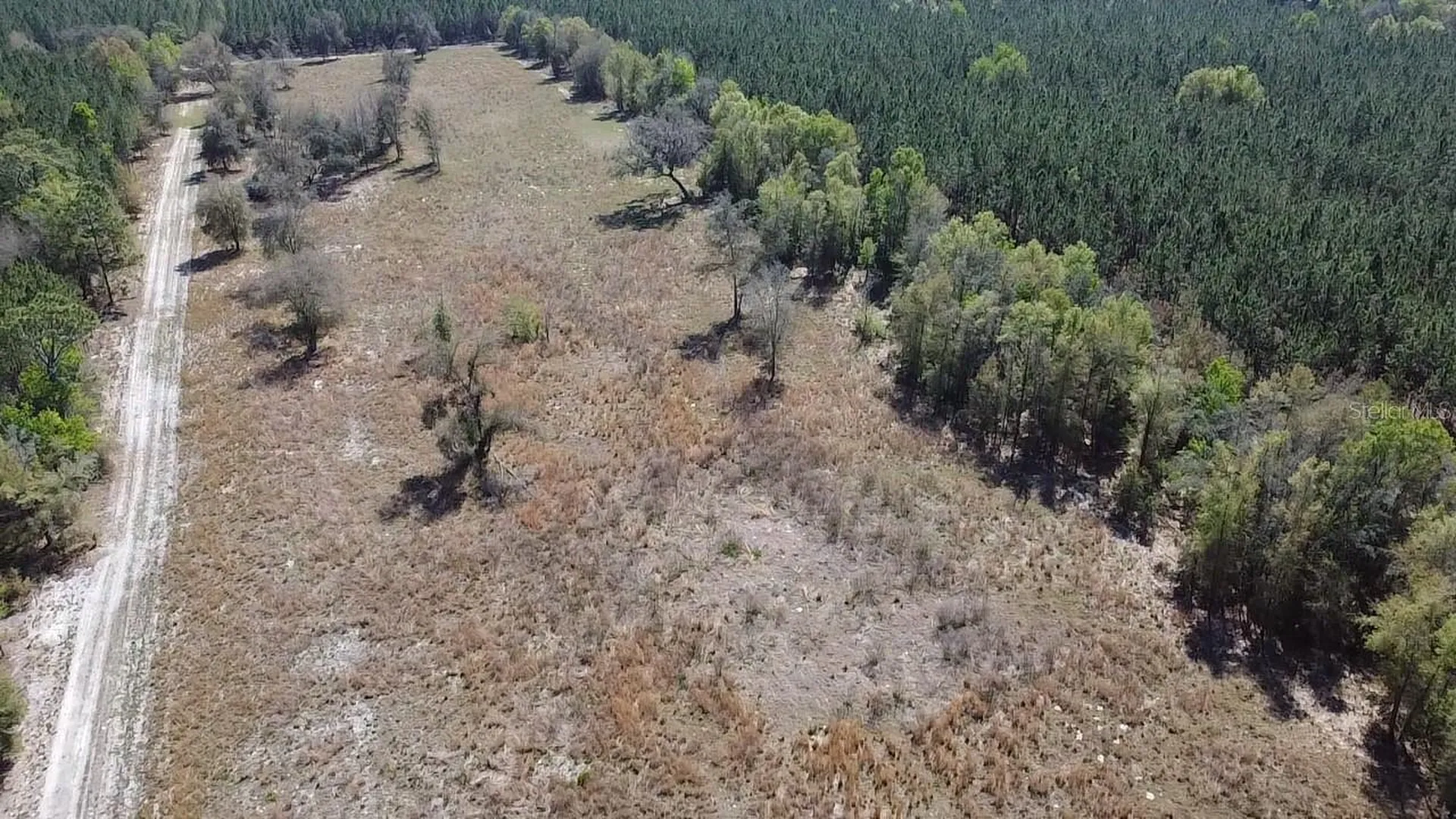 000 SW Langelier Fort White FL 32038