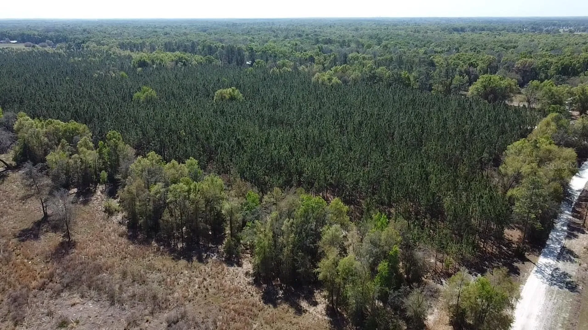 000 SW Langelier Fort White FL 32038