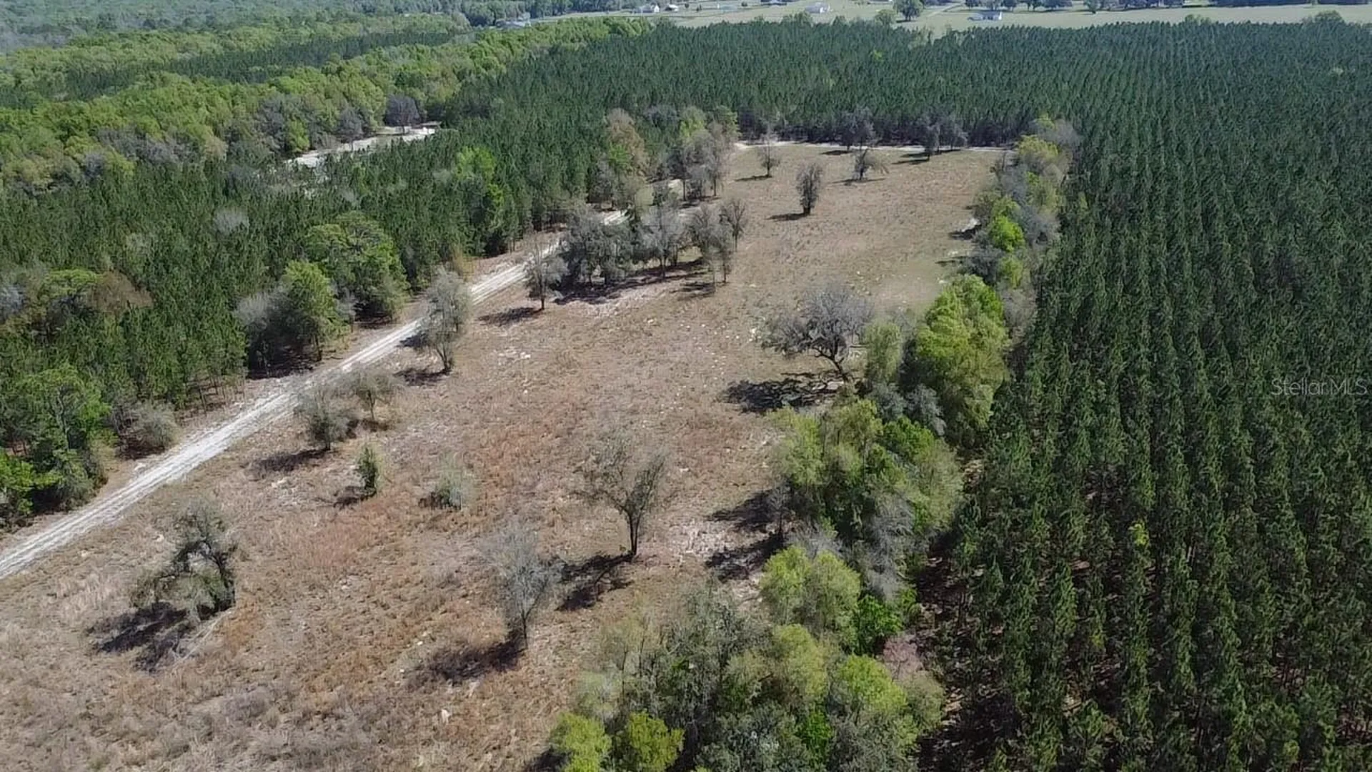 000 SW Langelier Fort White FL 32038