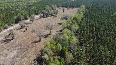 000 SW Langelier Fort White FL 32038