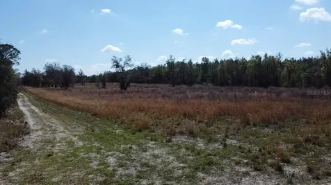 000 SW Langelier Fort White FL 32038
