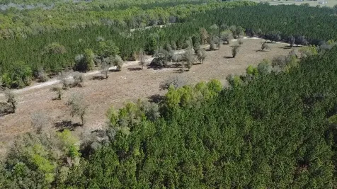 000 SW Langelier Fort White FL 32038