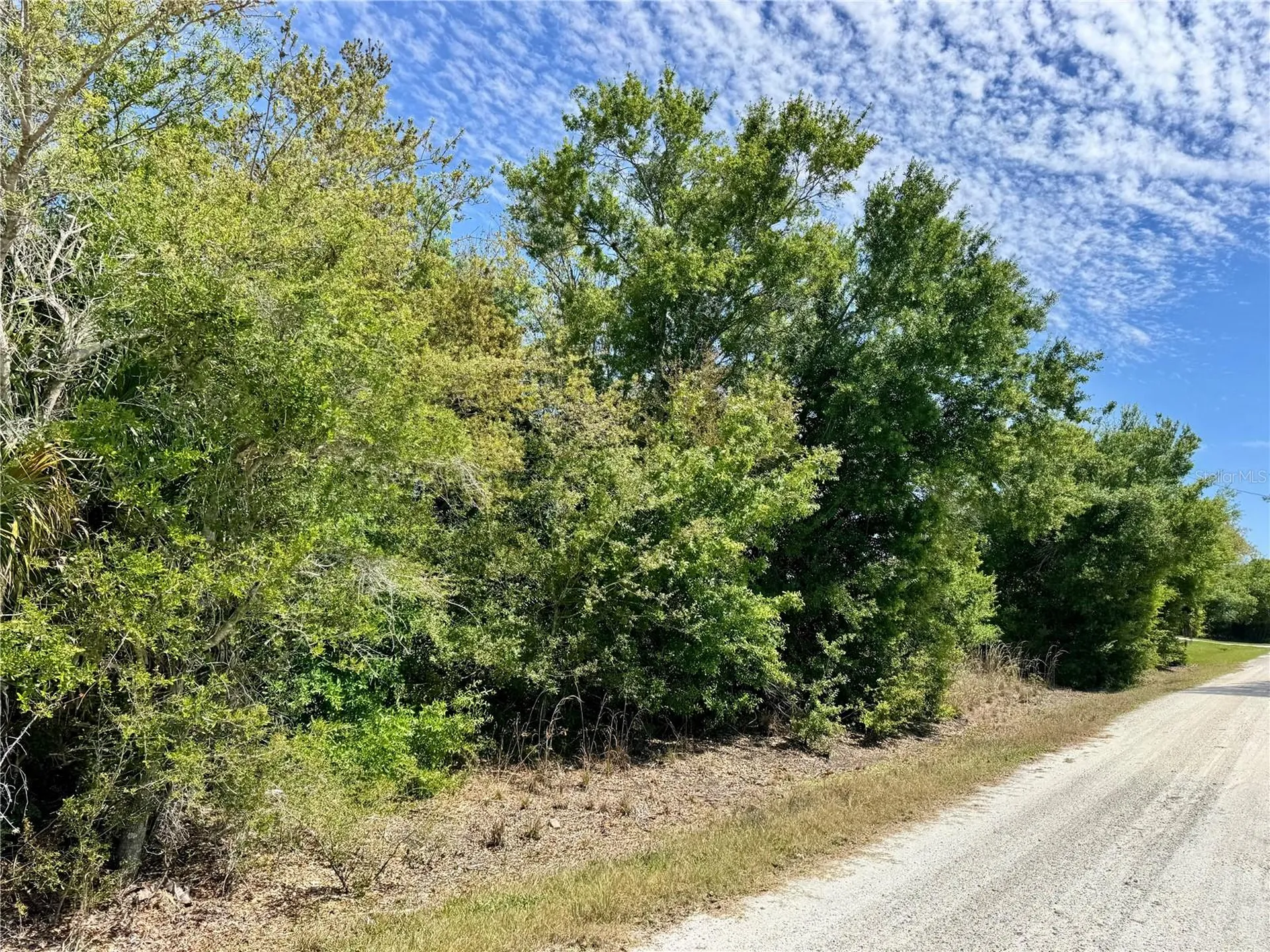 27054 Mingo Drive Punta Gorda FL 33955