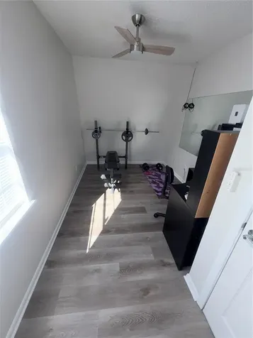 7321 Jackson Springs Road Tampa FL 33634