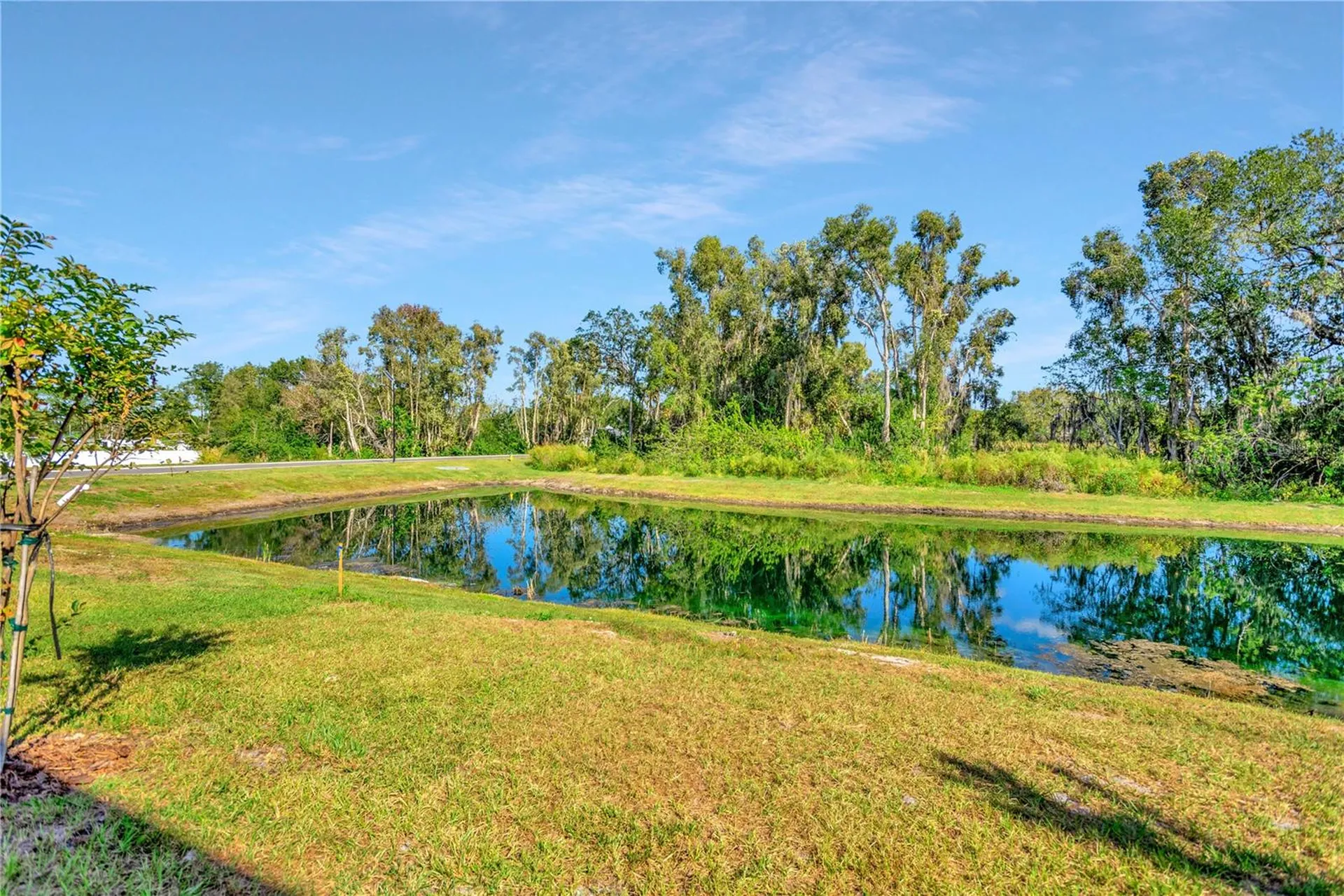 6032 Shiner Street Land O Lakes FL 34638