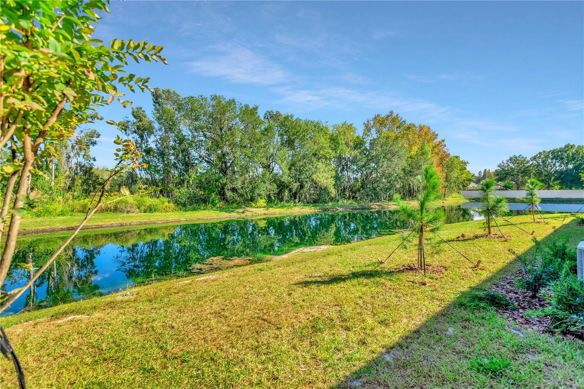 6032 Shiner Street Land O Lakes FL 34638