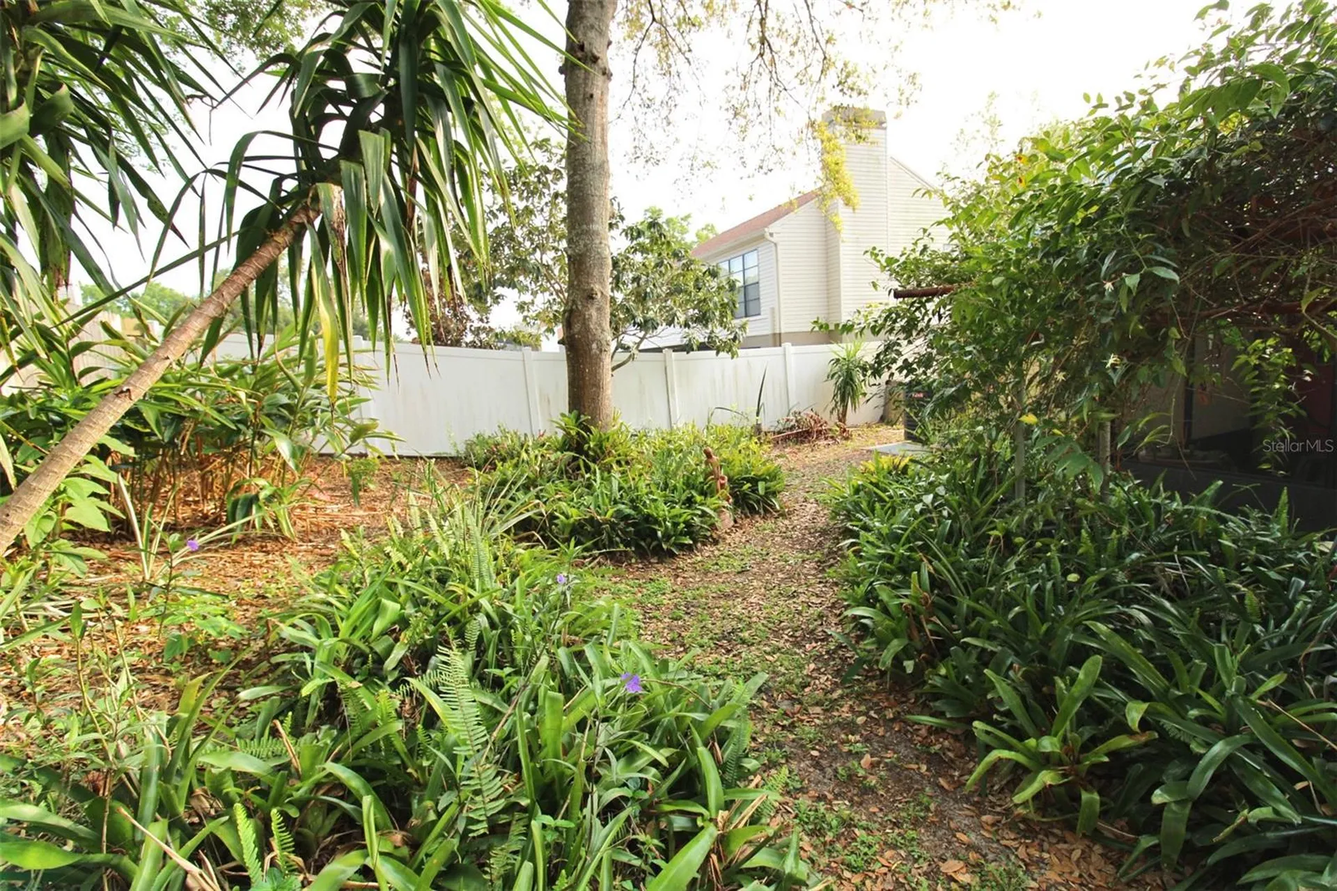 2609 Drumwood Place Valrico FL 33596