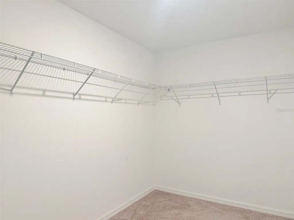 35007 Brackett Bend Zephyrhills FL 33541