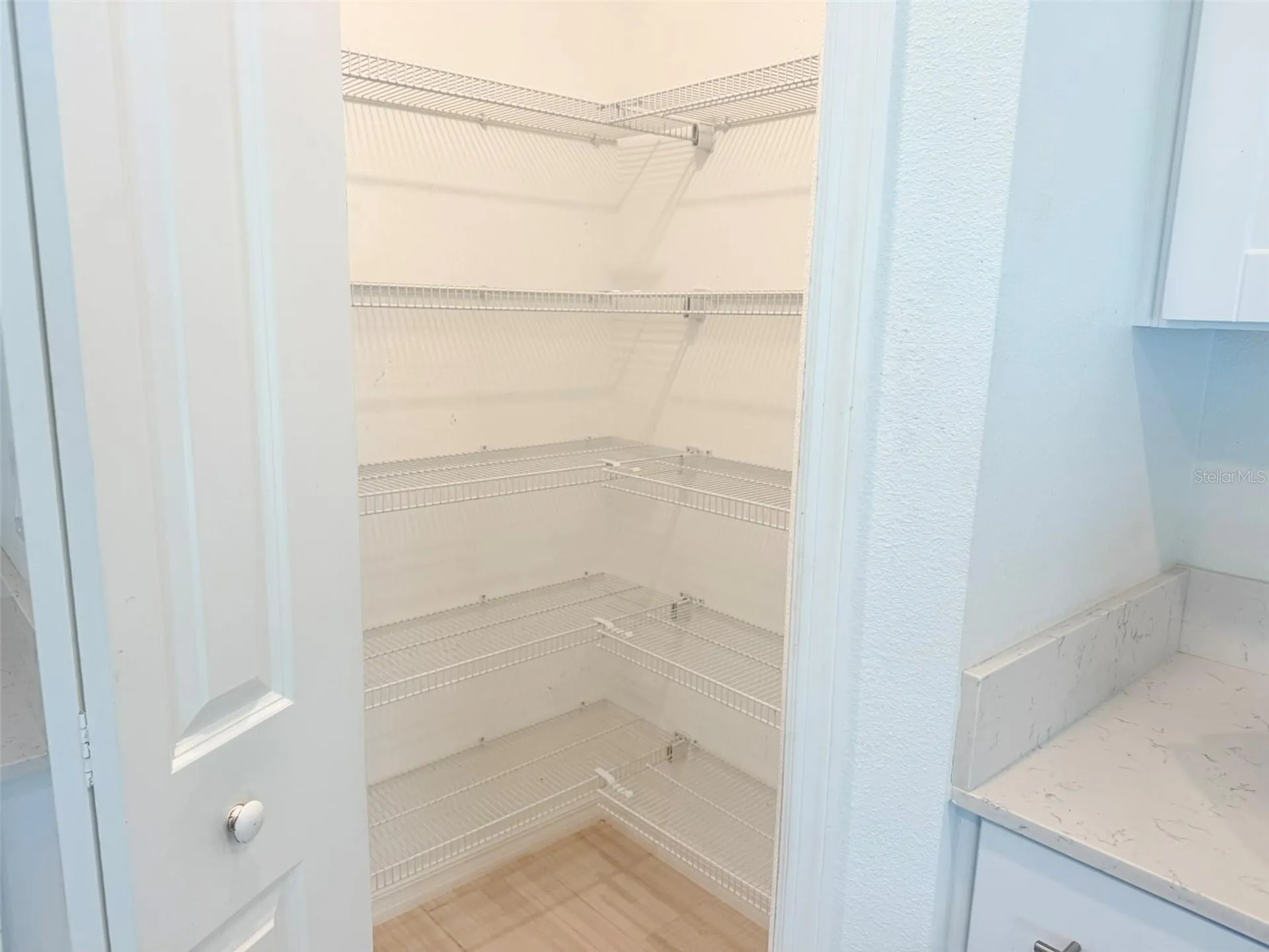 35007 Brackett Bend Zephyrhills FL 33541