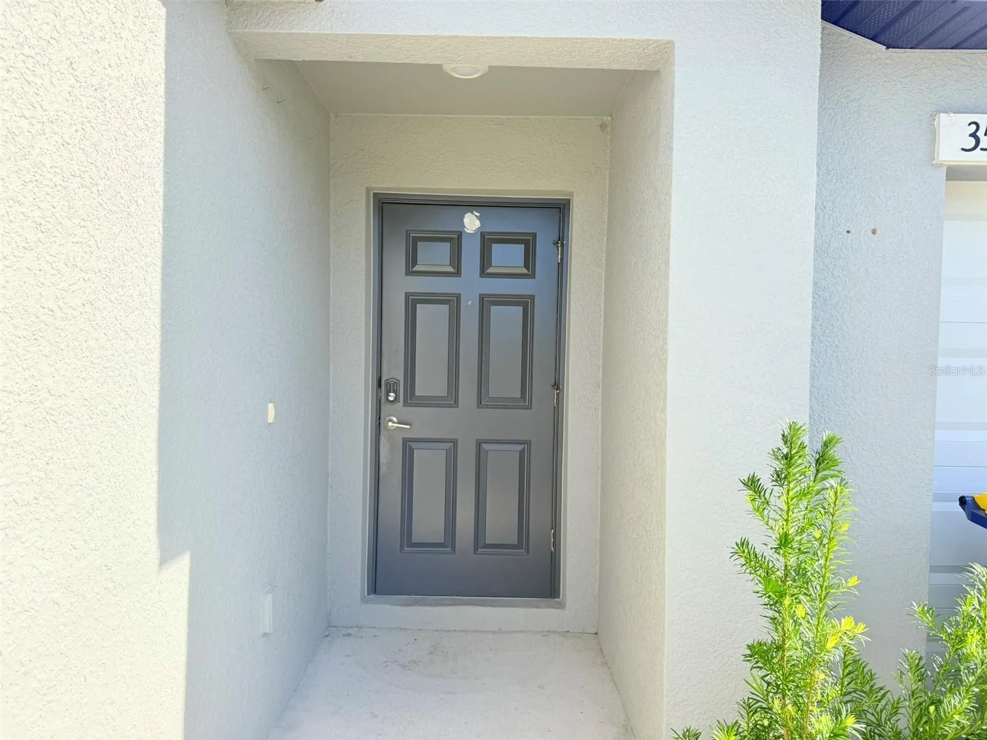 35007 Brackett Bend Zephyrhills FL 33541