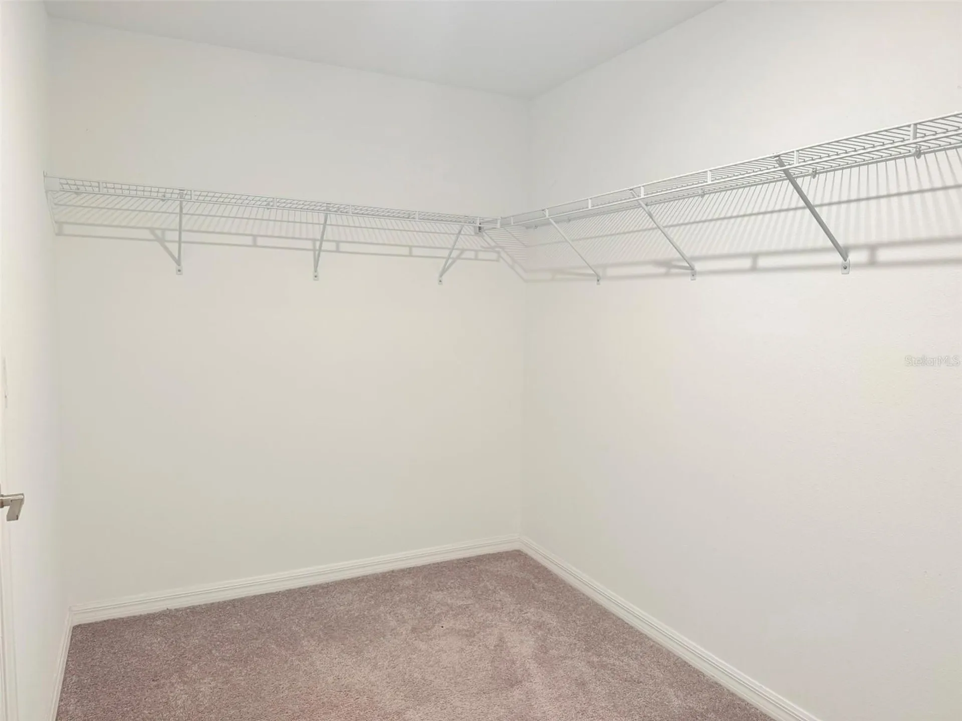 35007 Brackett Bend Zephyrhills FL 33541