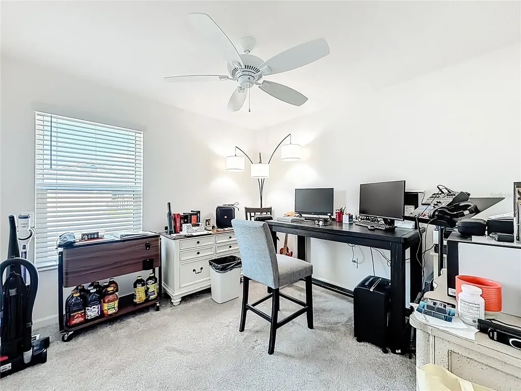 3154 Mack Street The Villages FL 32163
