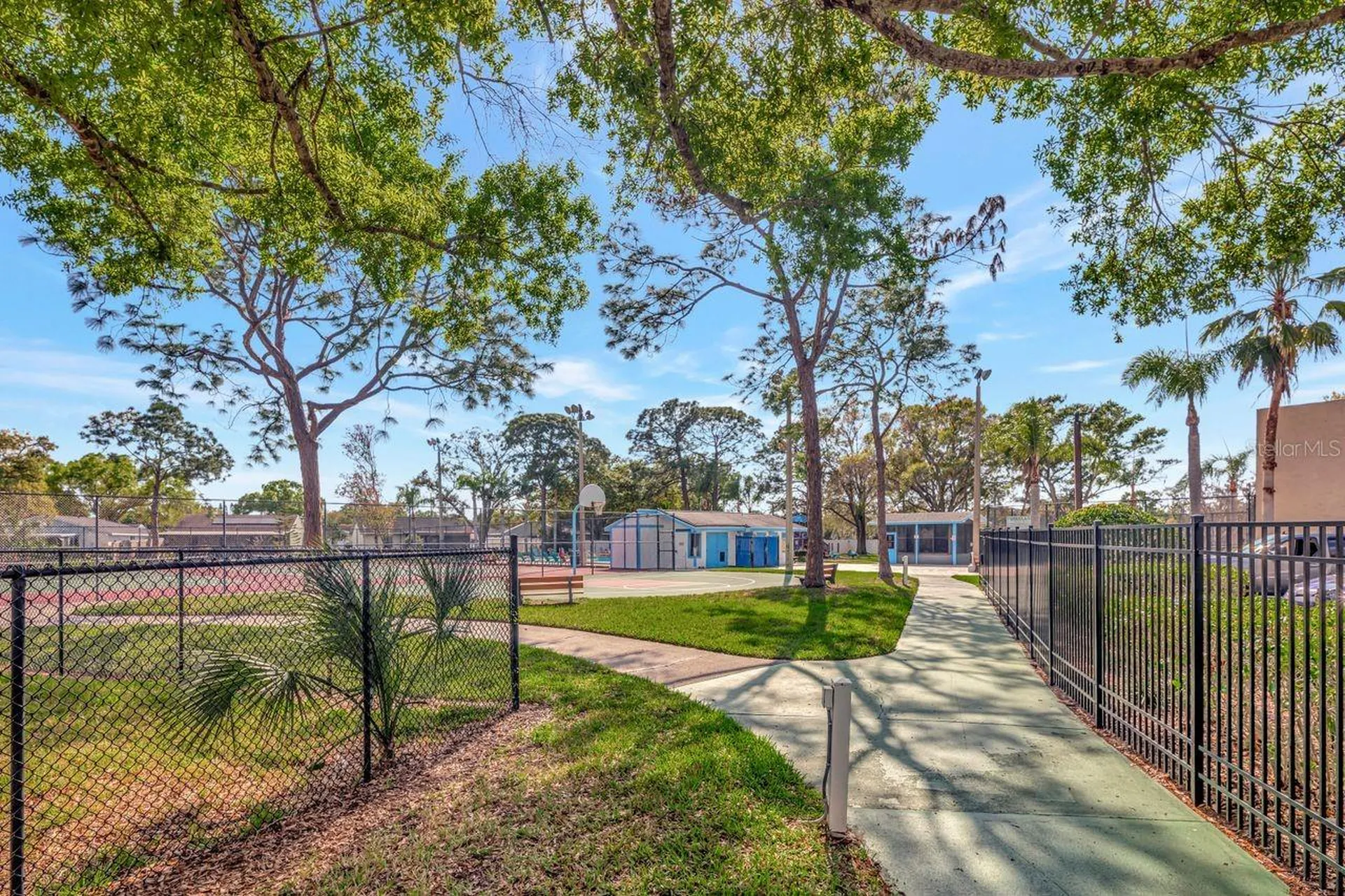 435 Lakeview Drive Oldsmar FL 34677