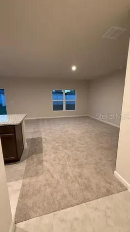 1607 Texas Avenue Sumterville FL 33585